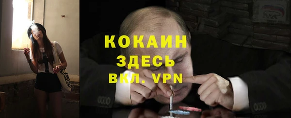 прущая мука Арсеньев