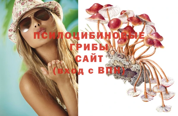 каннабис Аркадак