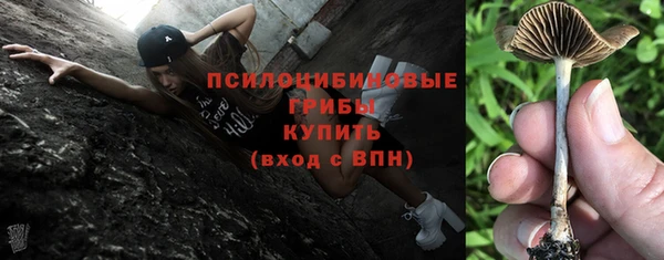 прущая мука Арсеньев