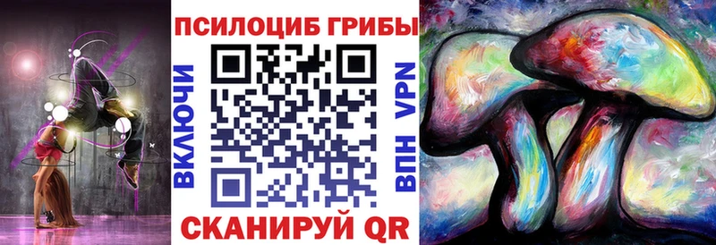 продажа наркотиков  Пласт  Псилоцибиновые грибы прущие грибы 