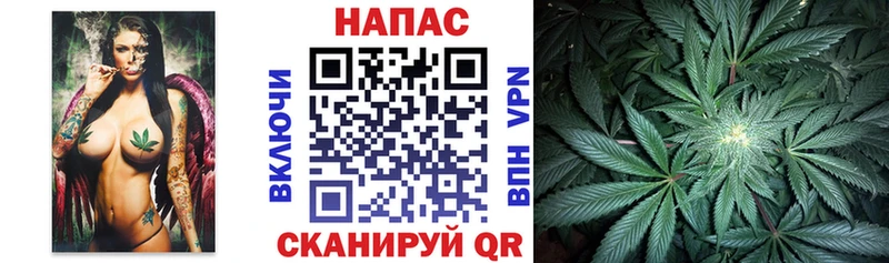 Конопля конопля Пласт